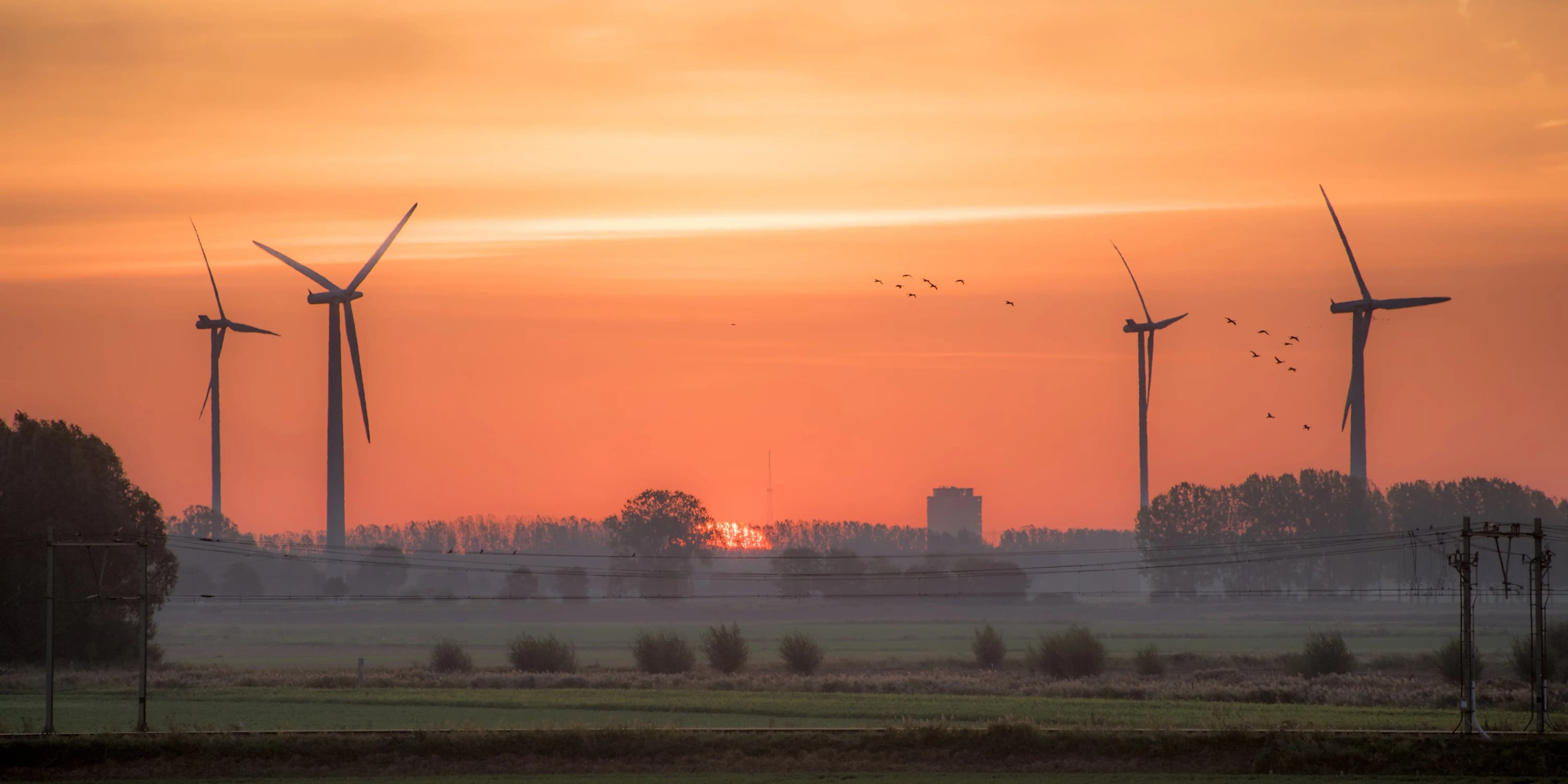 picture of a dutch landscape, featuring windmills and a sunset
